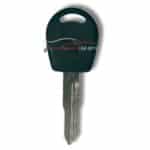 Chery service key,from Northside Car Keys