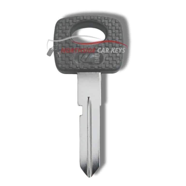 Proton service key,from Northside Car Keys